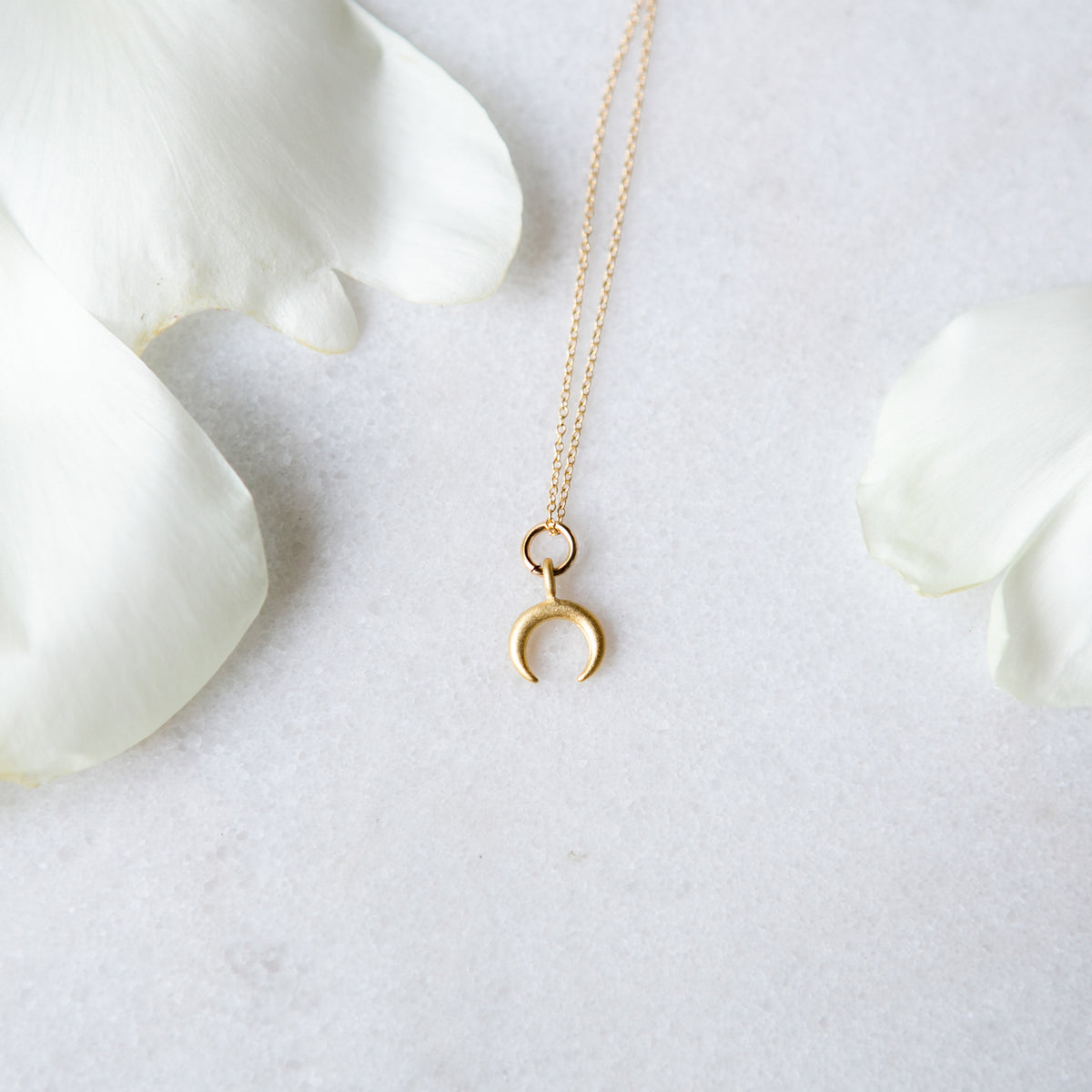 Horn moon clearance necklace