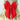 Hair Bows