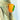 Pumpkin Claw Clip