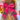 Hot Pink Christmas Tree Hair Bow