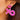 XO Beaded Earrings | Hot Pink